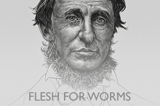 Flesh For Worms, Vox Populi Gallery, 2010